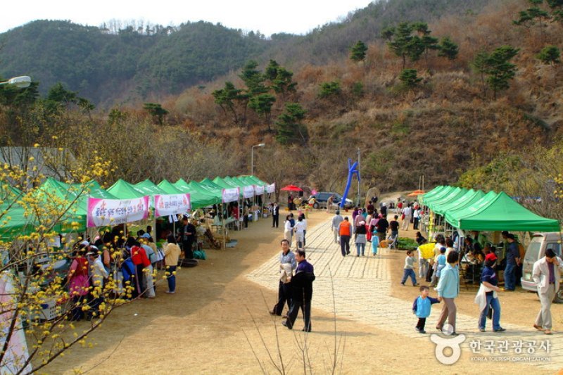 楊平 山茱萸村（양평 산수유마을） (7/8)