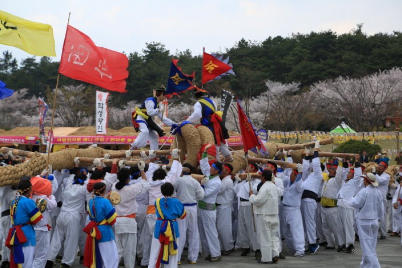 霊岩王仁文化祭り (11/14)