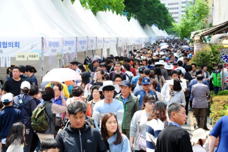儒城温泉文化祭り（유성온천문화축제）