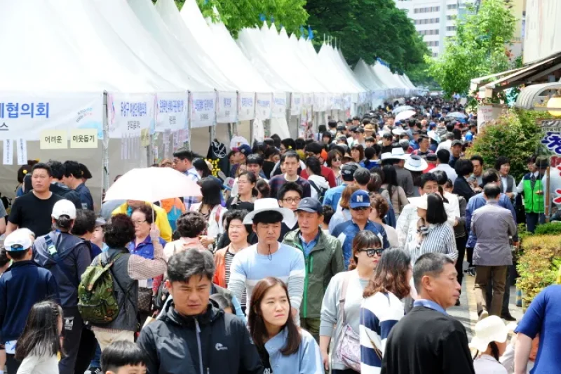 儒城温泉文化祭り（유성온천문화축제） (6/9)