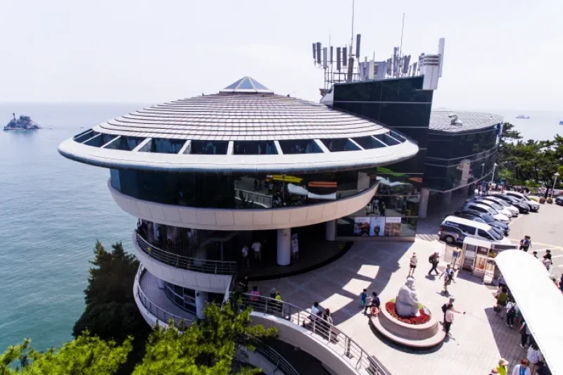 太宗台展望台（태종대 전망대） (8/33)