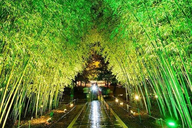 全州韓屋村慶基殿「王との散策」（전주 한옥마을 경기전 왕과의 산책） (1/9)