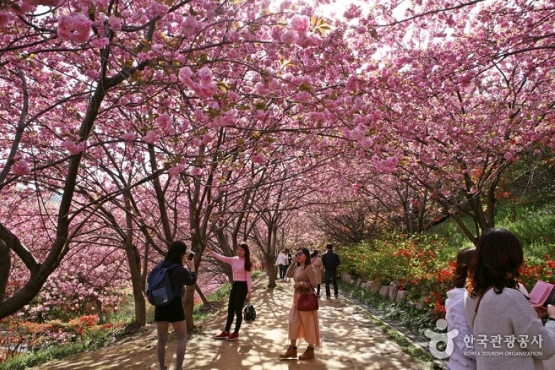 完山七峰（完山公園）（완산칠봉 (1/11)
