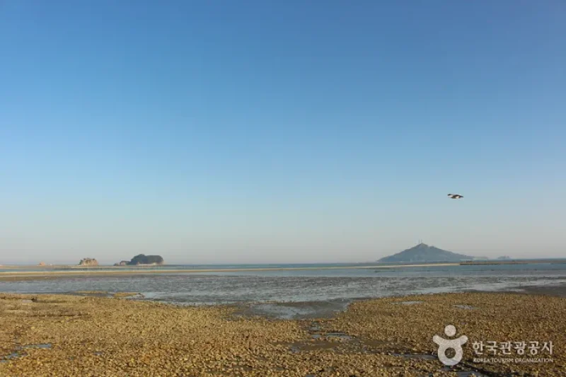 延坪島（大／小延坪島）（연평도 (22/34)