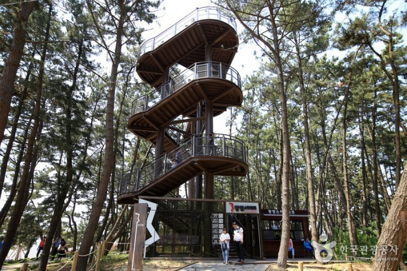 長項スカイウォーク（伎伐浦海戦展望台）（장항 스카이워크 (기벌포 해전 전망대)） (1/10)