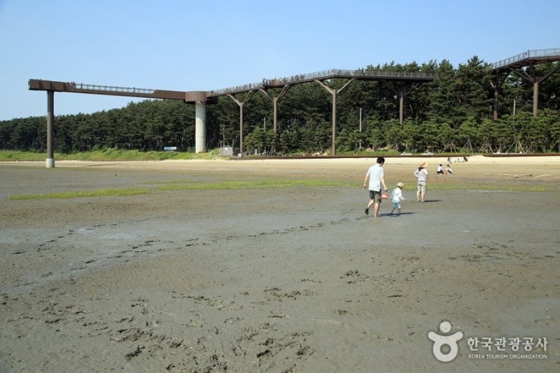 長項スカイウォーク（伎伐浦海戦展望台）（장항 스카이워크 (기벌포 해전 전망대)） (2/10)