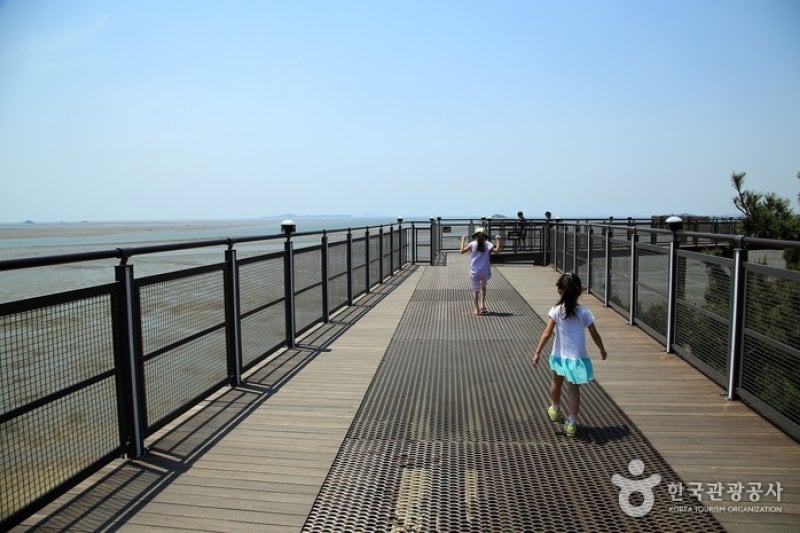 長項スカイウォーク（伎伐浦海戦展望台）（장항 스카이워크 (기벌포 해전 전망대)） (3/10)