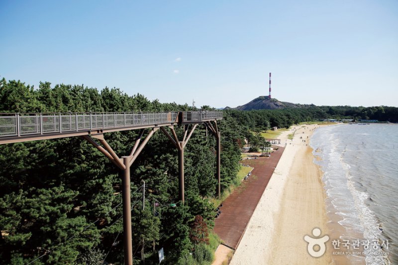 長項スカイウォーク（伎伐浦海戦展望台）（장항 스카이워크 (기벌포 해전 전망대)） (8/10)