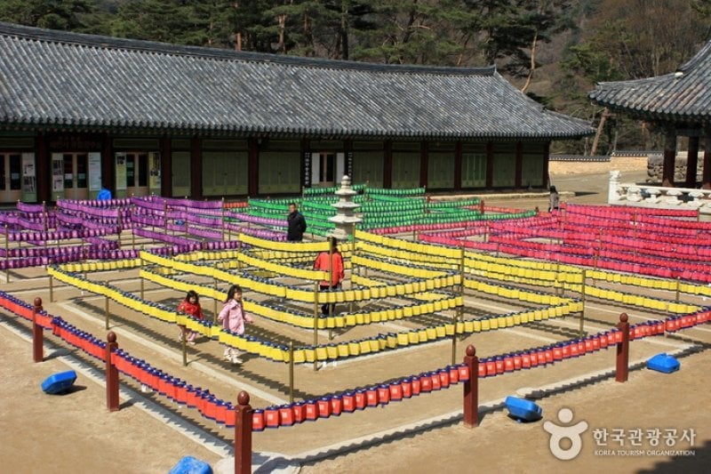 大蔵経テーマパーク（대장경테마파크） (17/21)