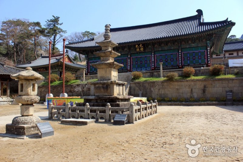 大蔵経テーマパーク（대장경테마파크） (19/21)