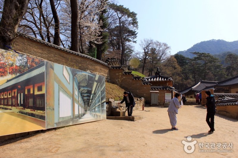 大蔵経テーマパーク（대장경테마파크） (20/21)