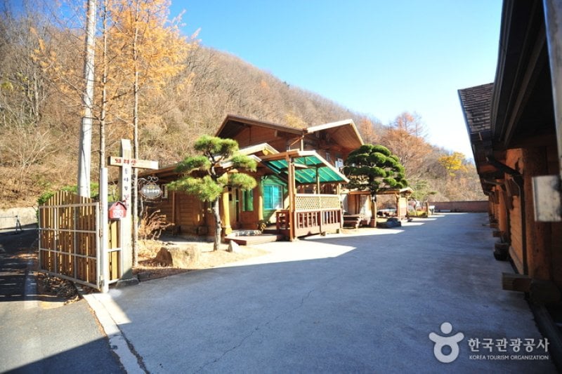 智異山丸太山荘（지리산통나무산장） (2/17)