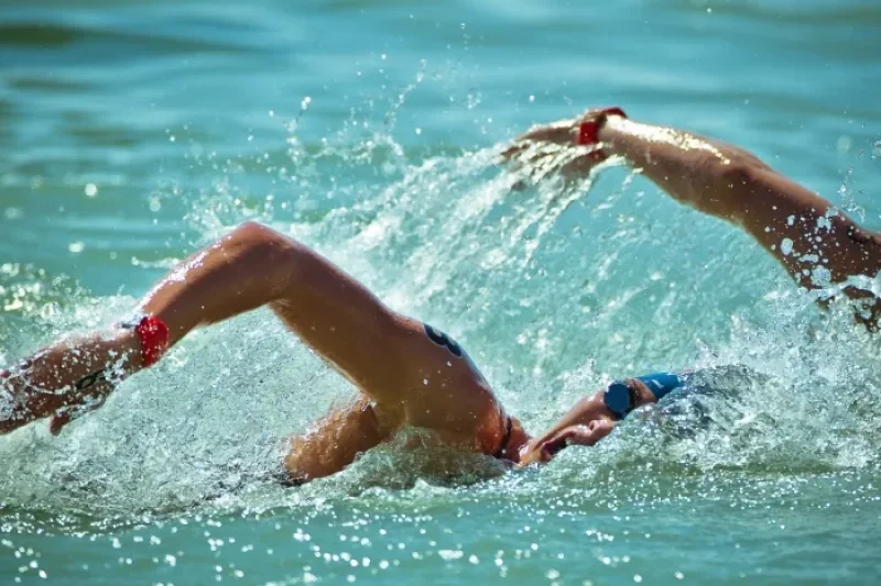 光州FINA世界水泳選手権大会2019（광주 FINA 세계수영선수권대회 2019） (5/5)