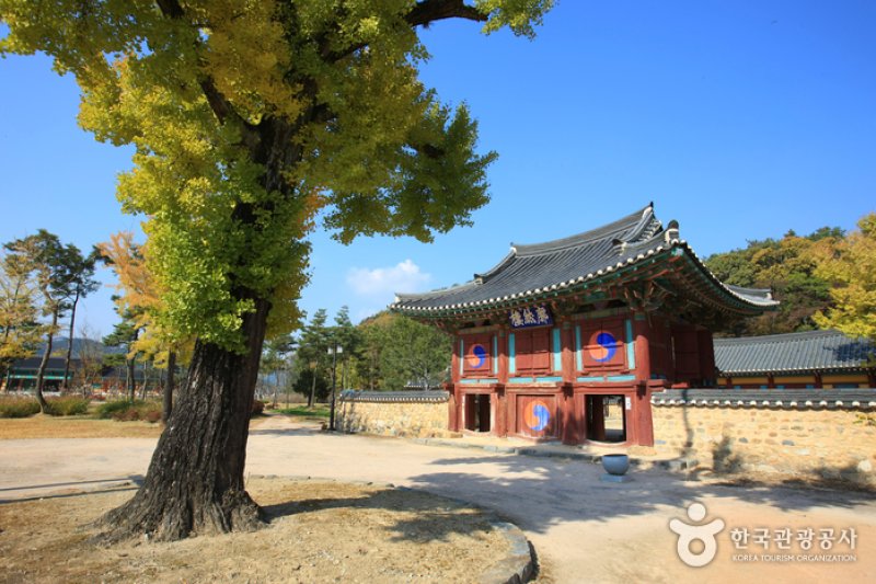 筆岩書院［ユネスコ世界文化遺産］（필암서원 [유네스코 세계문화유산]） (1/18)