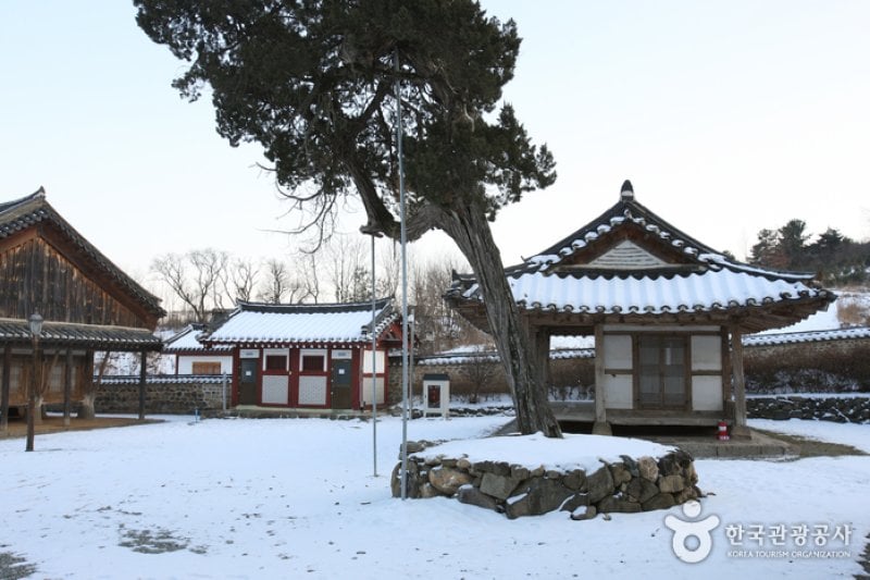 遯岩書院［ユネスコ世界文化遺産］（돈암서원 [유네스코 세계문화유산]） (11/25)