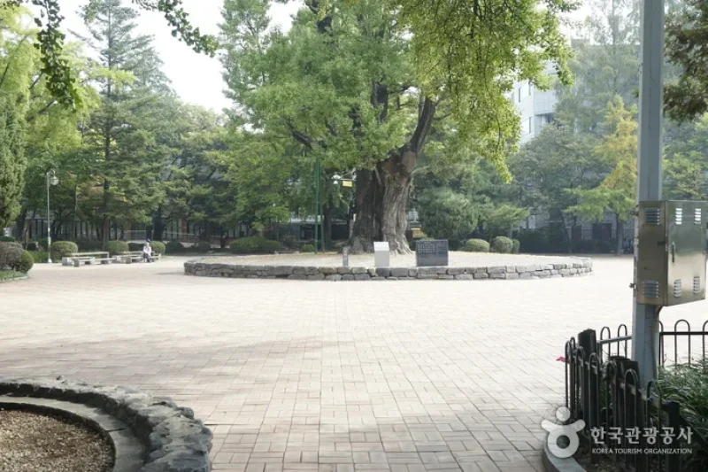 清州中央公園 (9/14)