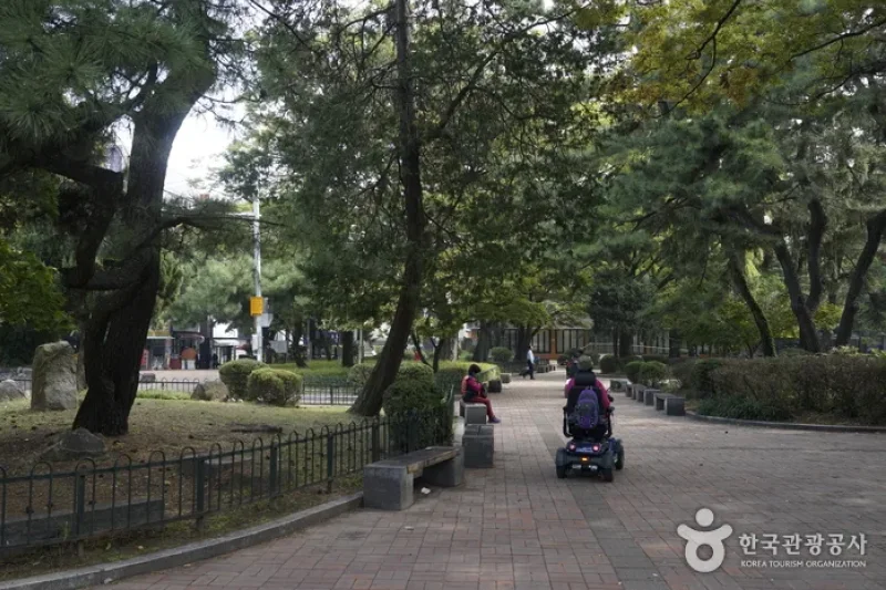 清州中央公園 (12/14)