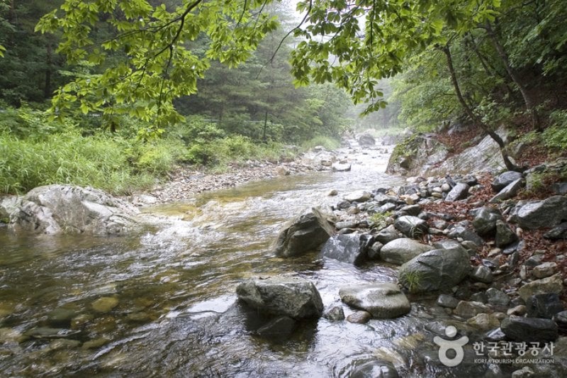 徳邱渓谷（慶尚北道東海岸国家地質公園）（덕구계곡 (경북 동해안 국가지질공원) ） (2/5)