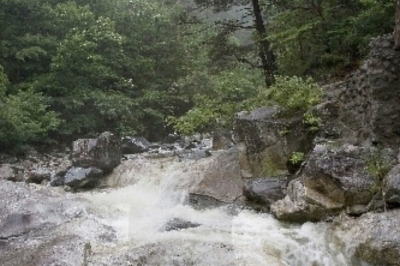 徳邱渓谷（慶尚北道東海岸国家地質公園）（덕구계곡 (경북 동해안 국가지질공원) ） (5/5)