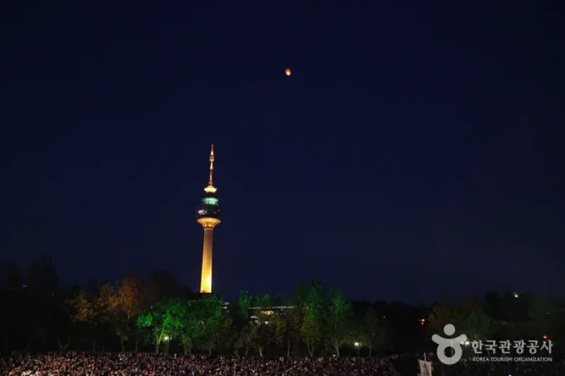 形形色色・達句伐観灯祭り (8/11)