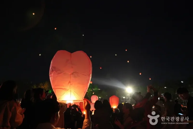 形形色色・達句伐観灯祭り (10/11)