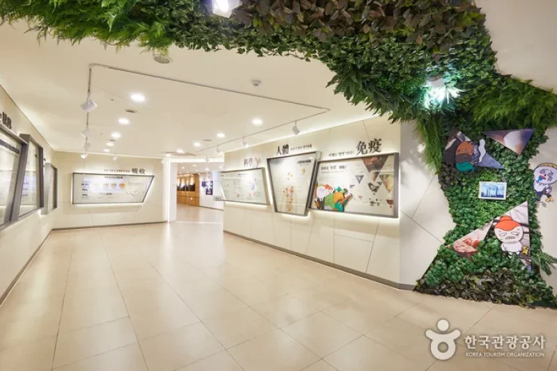 清河高麗人参[韓国観光品質認証]（청하고려인삼 [한국관광품질인증/Korea Quality] ） (18/27)