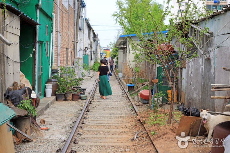 京岩洞線路村（경암동 철길마을） (5/6)