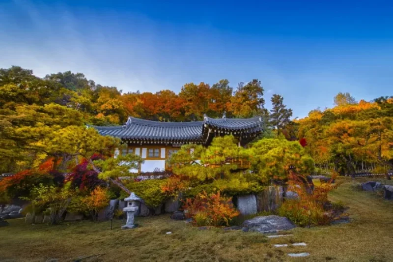 朝鮮王家 (3/6)