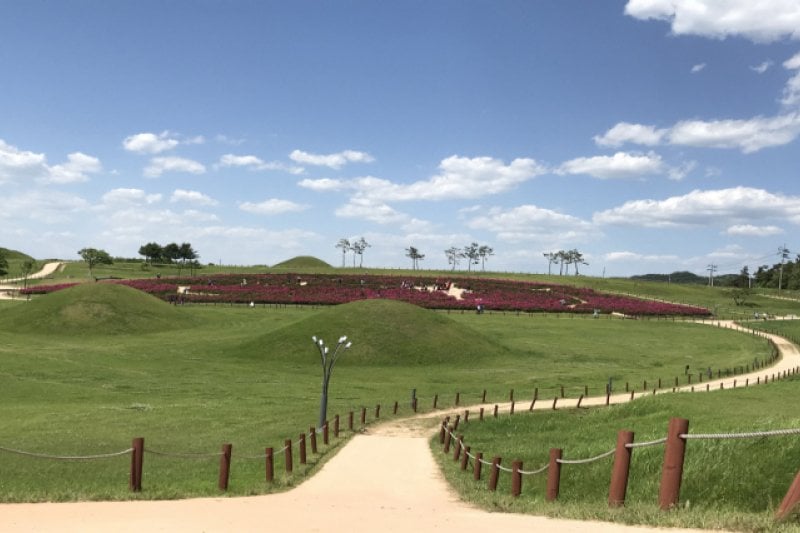 義城 金城山古墳群（의성 금성산 고분군） (1/4)