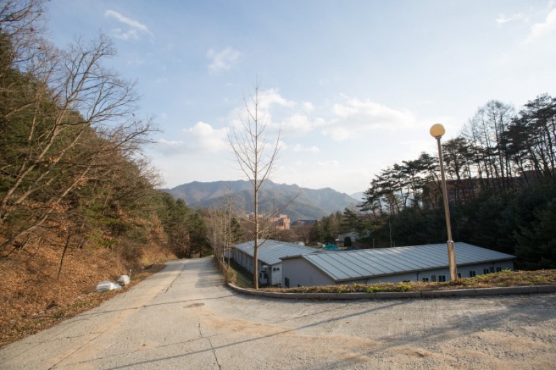 延世大原州キャンパスキル（연세대 원주캠퍼스길） (4/6)