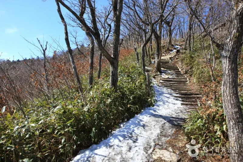 徳裕山国立公園 (44/44)