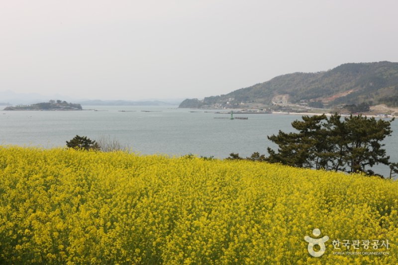 閑麗水道 (9/9)