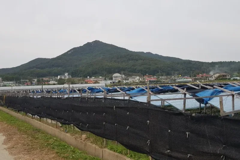Glocal観光商品 - 仁川江華島平和1日ツアー（ソウル出発） (40/57)