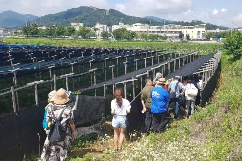 Glocal観光商品 - 仁川江華島平和1日ツアー（ソウル出発） (41/57)