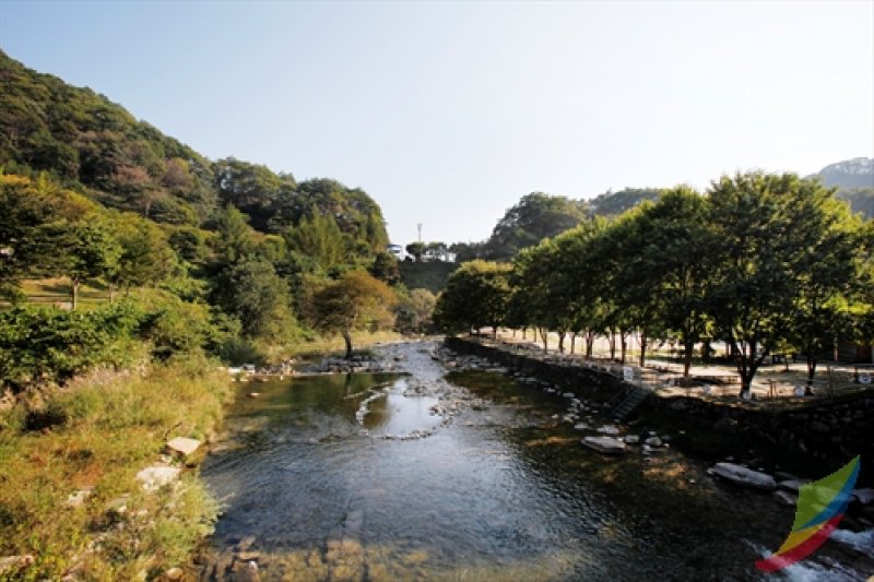 傍花洞自然休養林 (3/4)