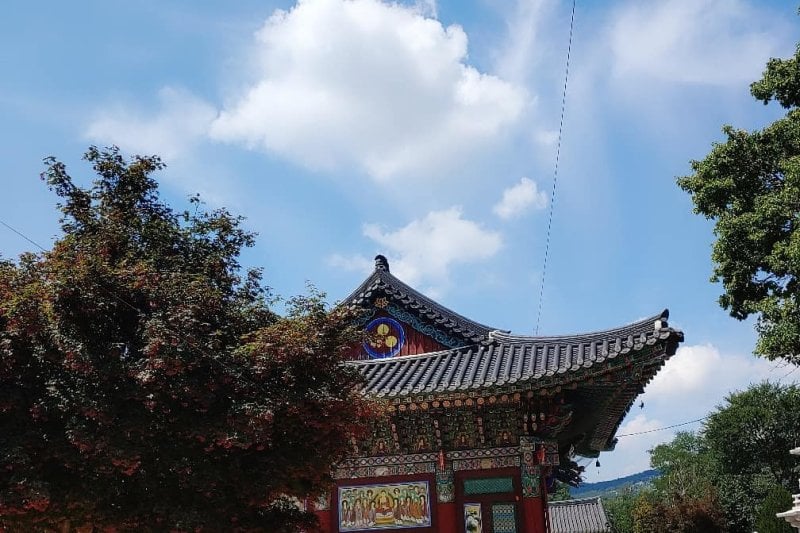 蓮花寺 (1/2)