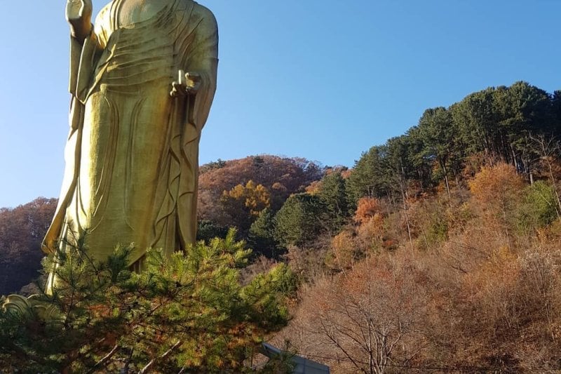 蓮花寺 (2/2)