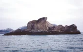 蝟島