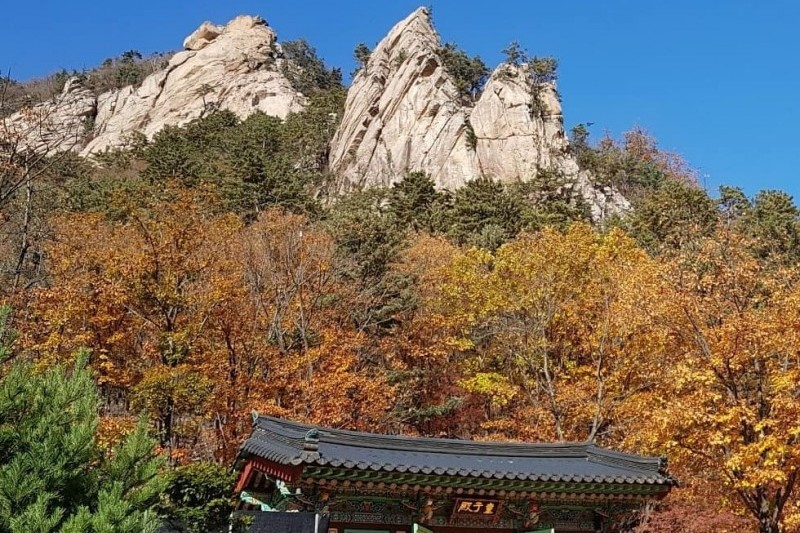 五歳庵 (1/4)