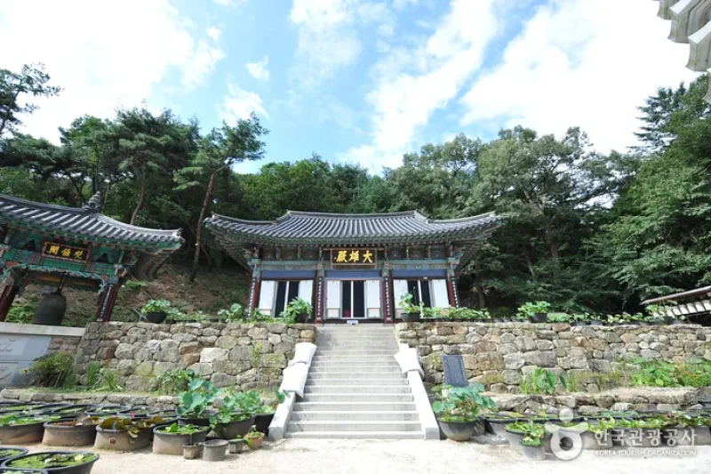 長慶寺 (5/6)