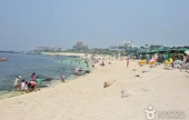 牛島 珊瑚海岸（西浜白沙）（우도 산호해변