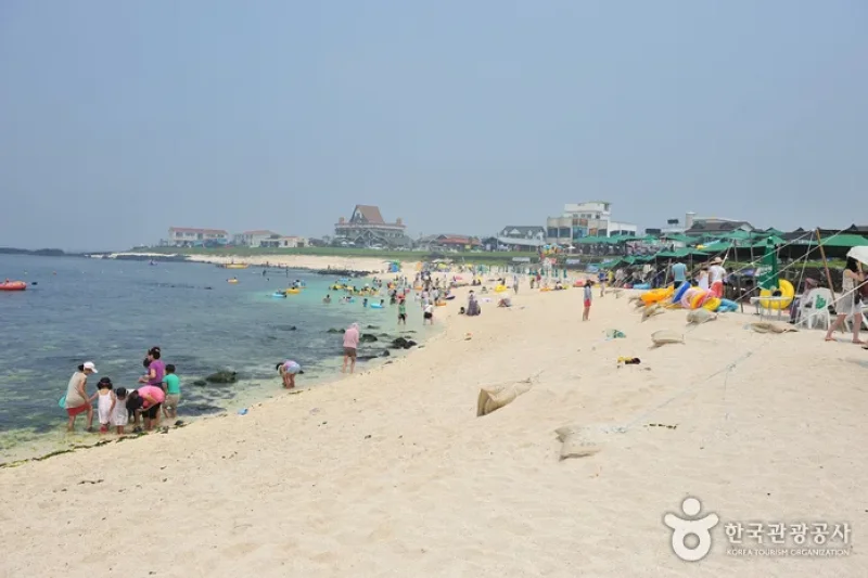 牛島 珊瑚海岸（西浜白沙）（우도 산호해변 (1/4)