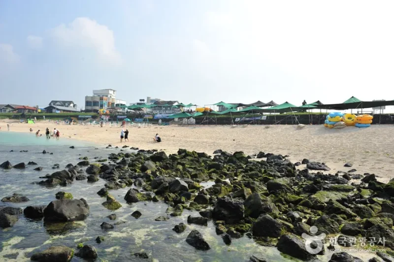 牛島 珊瑚海岸（西浜白沙）（우도 산호해변 (2/4)