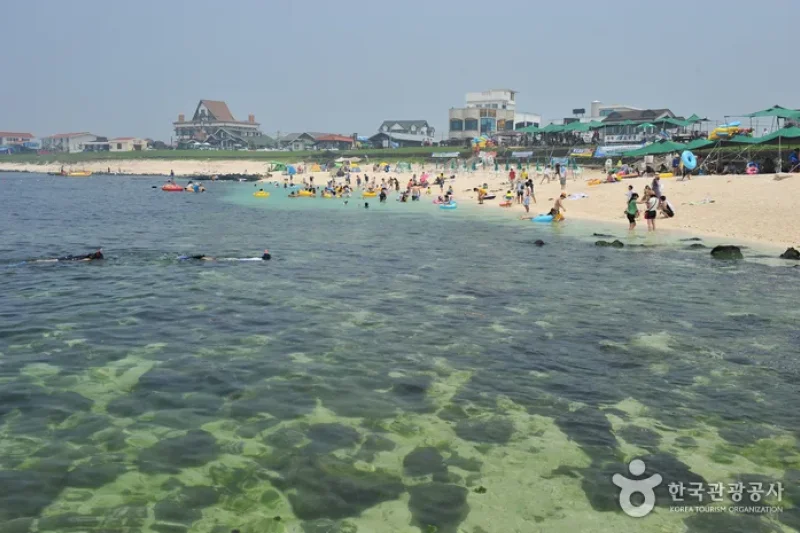 牛島 珊瑚海岸（西浜白沙）（우도 산호해변 (3/4)