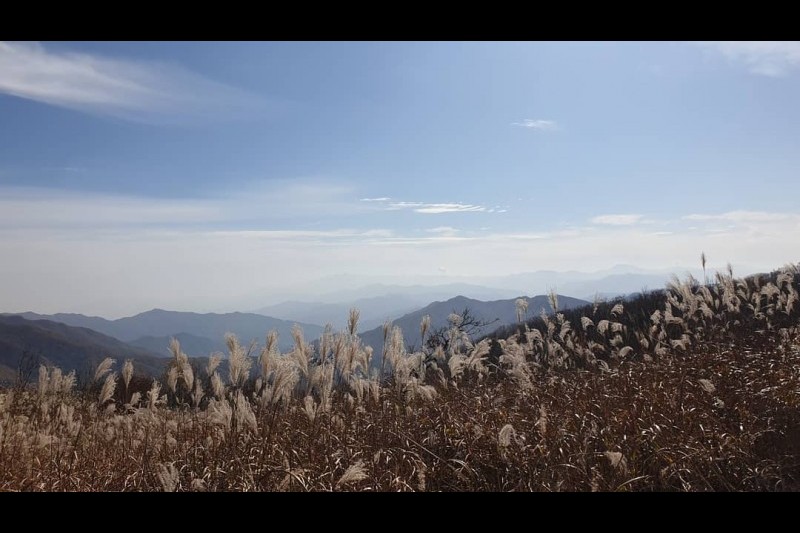 長安山郡立公園 (1/2)