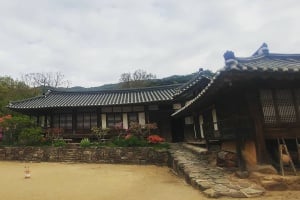 ［名品古宅］金環洛地穀田斎
