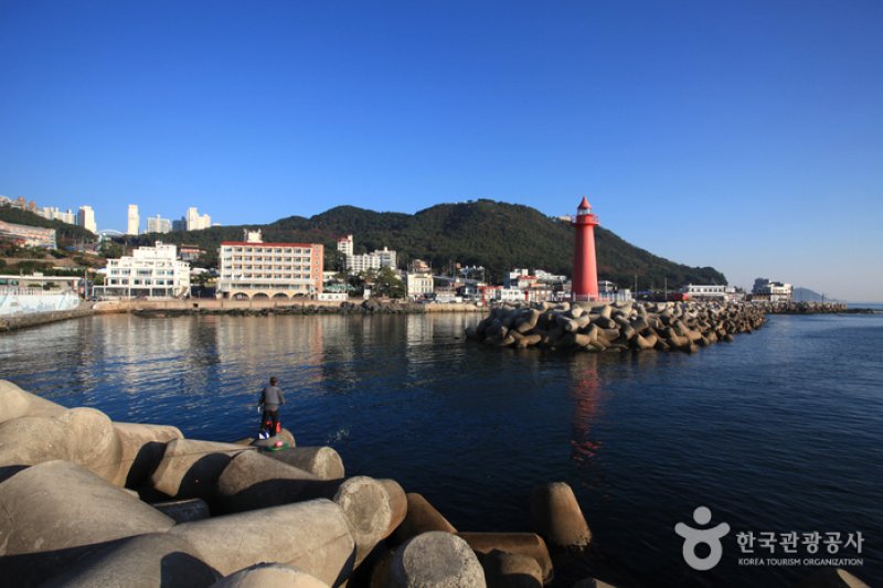 青沙浦（청사포） (24/25)