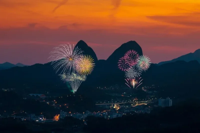 [文化観光祭り] 鎮安紅参祭り（[문화관광축제] 진안 홍삼축제） (4/5)