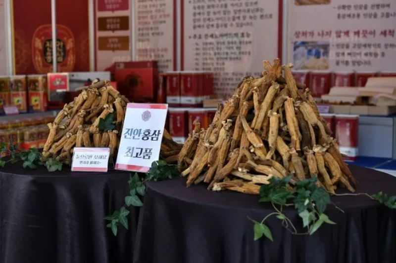 [文化観光祭り] 鎮安紅参祭り（[문화관광축제] 진안 홍삼축제） (5/5)