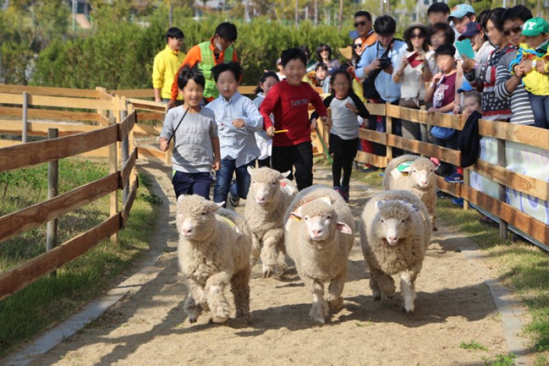 安城ファームランド（안성 팜랜드） (6/8)